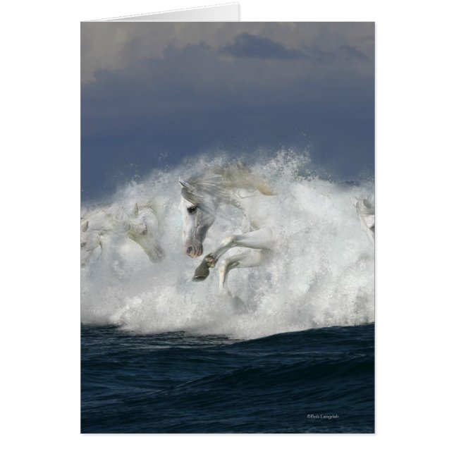 Fantasy Horses: Sea Hälsningskort (Framsidan)