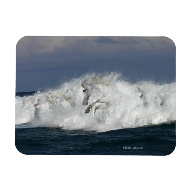 Fantasy Horses: Sea Magnet (Horisontell)