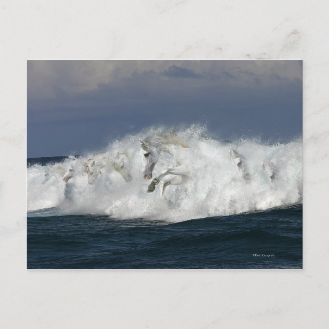 Fantasy Horses: Sea Vykort (Framsida)