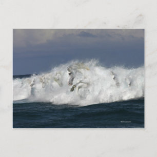 Fantasy Horses: Sea Vykort