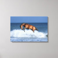 Fantasy Horses: Selle Francais & Sea
