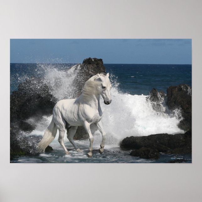 Fantasy Horses: Södra havet Poster (Framsidan)