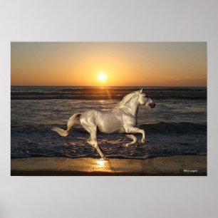 Fantasy Horses: Solnedgång Poster
