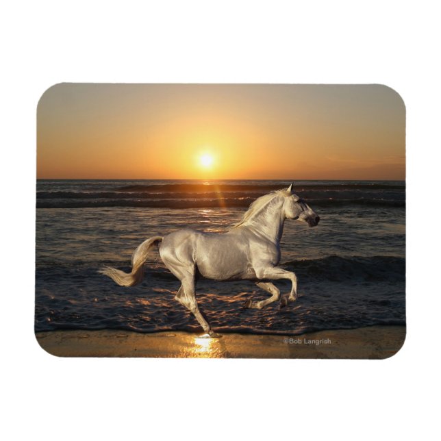 Fantasy Horses: Sunset Magnet (Horisontell)