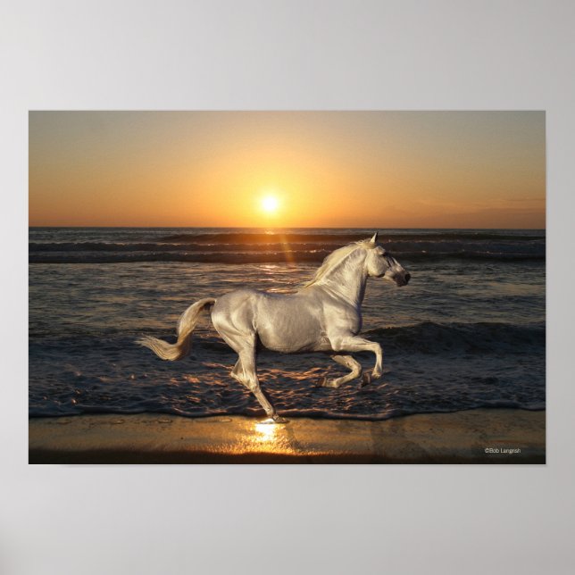 Fantasy Horses: Sunset Poster (Framsidan)