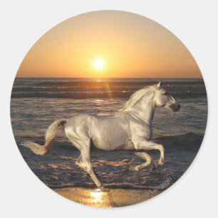 Fantasy Horses: Sunset Runt Klistermärke