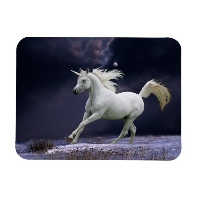 Fantasy Horses: Unicorn Magnet (Horisontell)