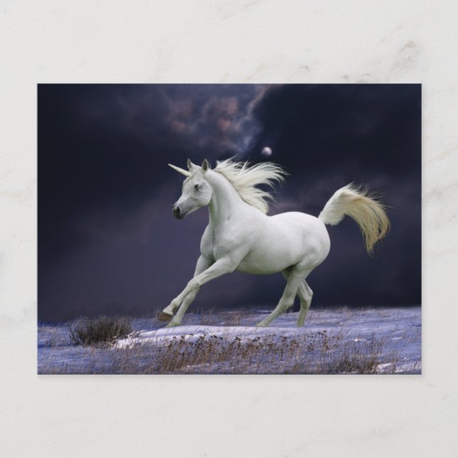 Fantasy Horses: Unicorn Vykort (Framsida)