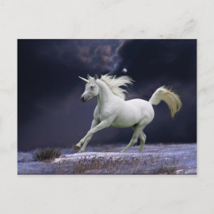 Fantasy Horses: Unicorn Vykort