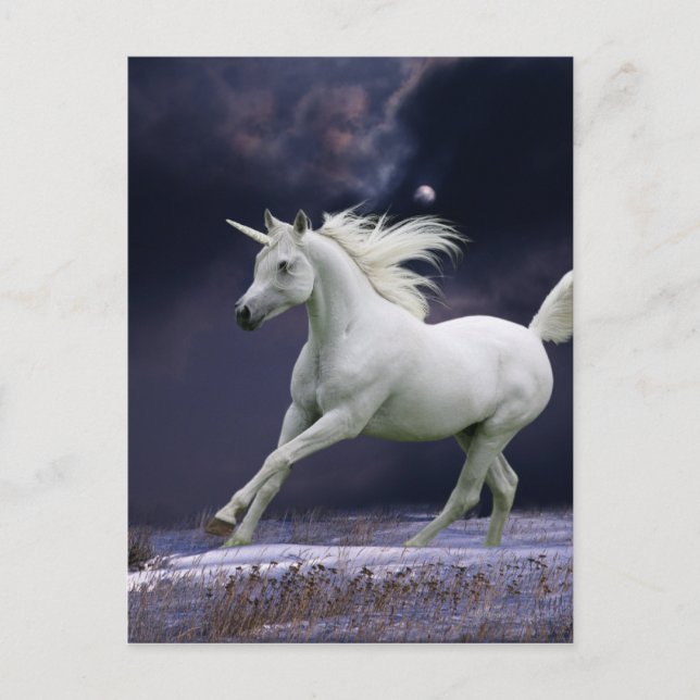 Fantasy Horses: Unicorn Vykort (Framsida)
