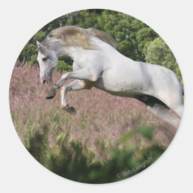 Fantasy Horses: Vår Gallop Runt Klistermärke (Framsida)