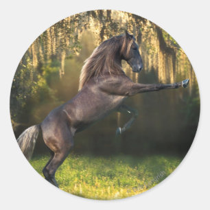 Fantasy Horses: Warrior Prince Runt Klistermärke