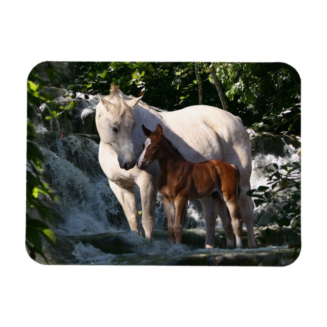 Fantasy Horses: Waterfall Magnet (Horisontell)