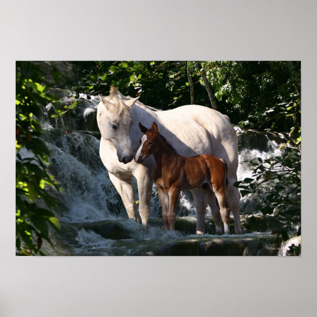 Fantasy Horses: Waterfall Poster (Framsidan)
