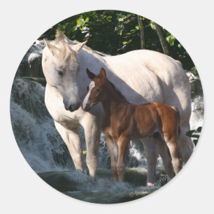 Fantasy Horses: Waterfall Runt Klistermärke