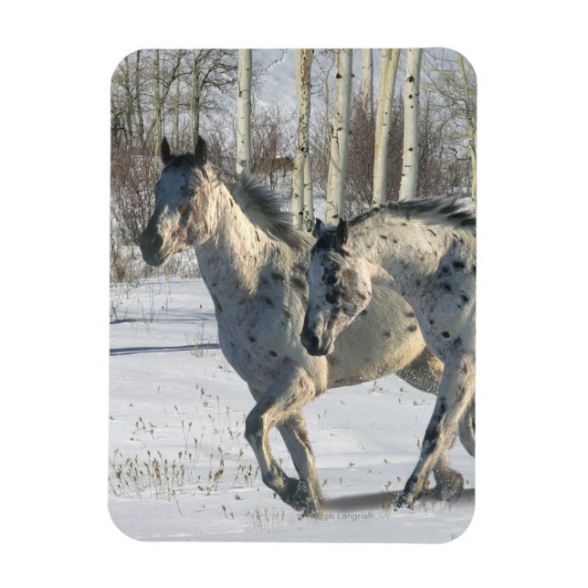 Fantasy Horses: Winter Wonderland Magnet (Vertikal)