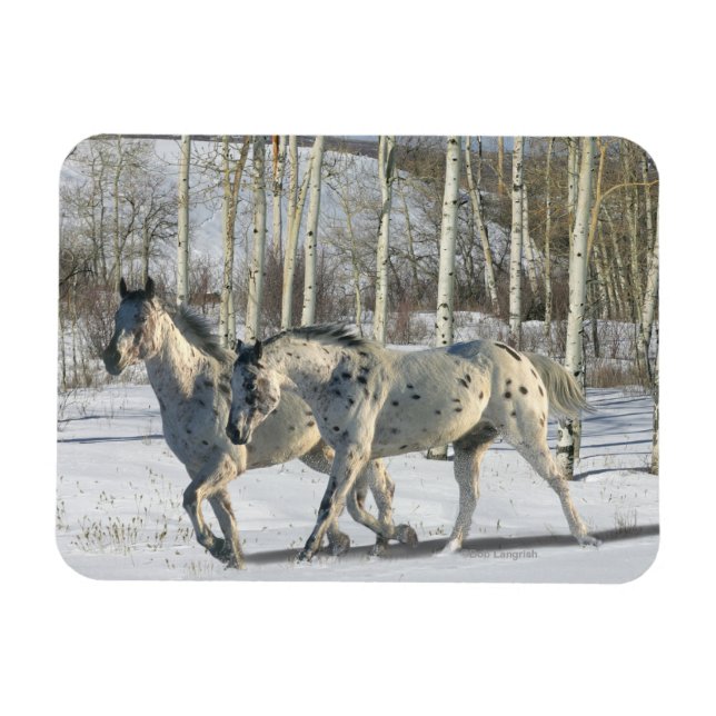 Fantasy Horses: Winter Wonderland Magnet (Horisontell)