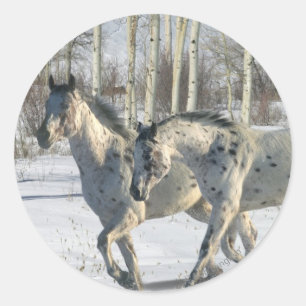 Fantasy Horses: Winter Wonderland Runt Klistermärke