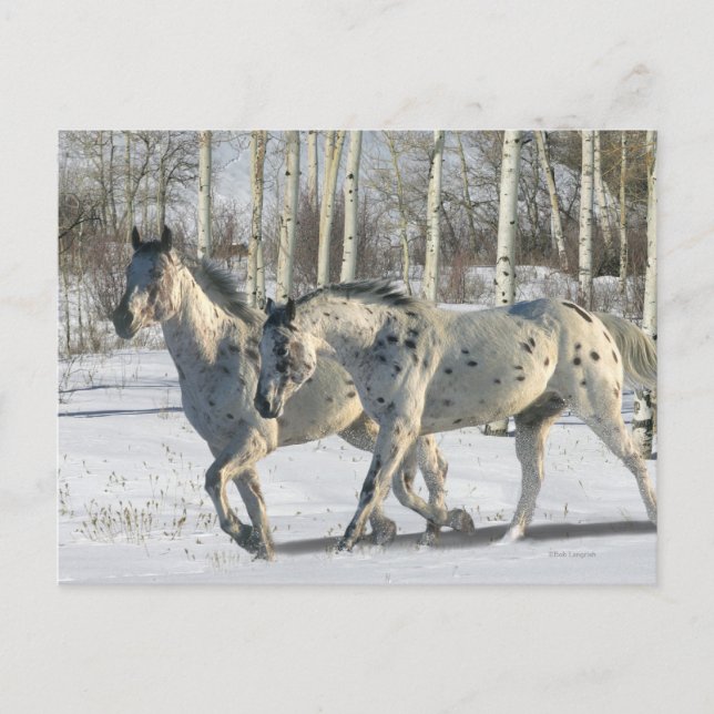 Fantasy Horses: Winter Wonderland Vykort (Framsida)