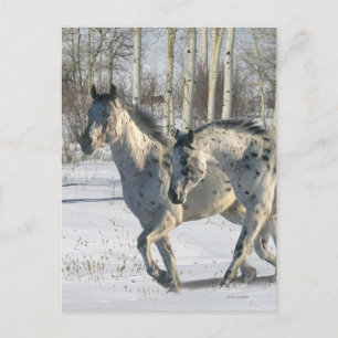 Fantasy Horses: Winter Wonderland Vykort