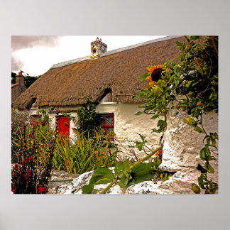 Fantasy Irish cottage Poster