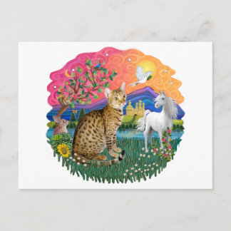 Fantasy Land (ff) - Ocicat Vykort