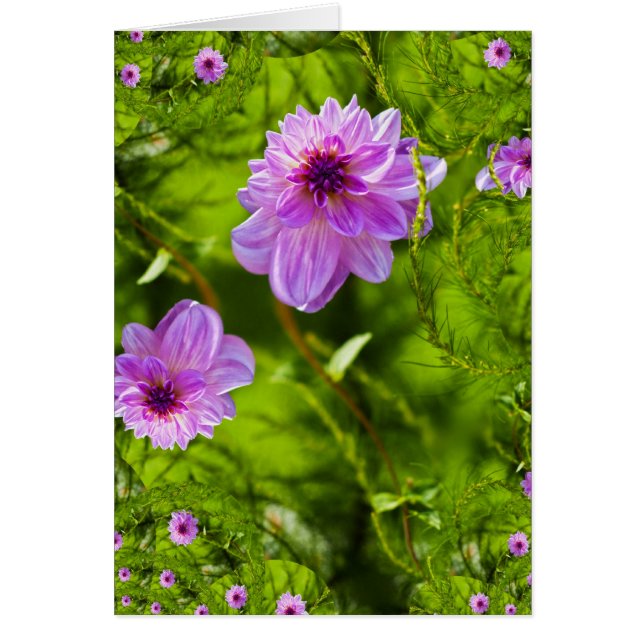 Fantasy Rosa Dahlia Hälsningskort (Framsidan)