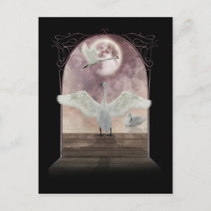 Fantasy Svan vycard Art Vykort