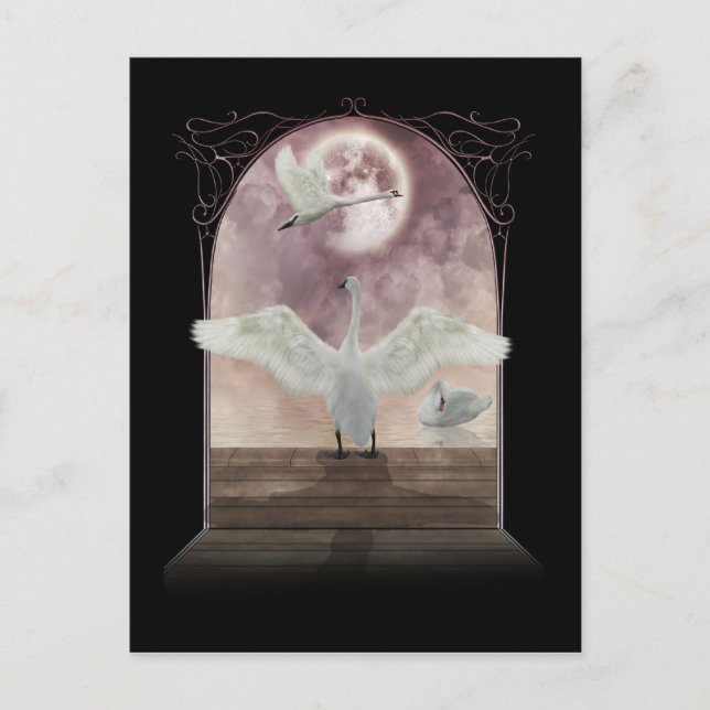 Fantasy Svan vycard Art Vykort (Framsida)