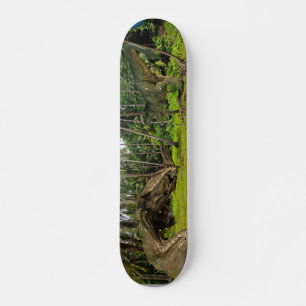 Fantasy T-Rex Tyrannosaurus Drak-kamp Mini Skateboard Bräda 18,5 Cm