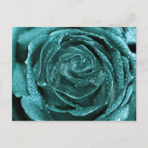 Fantasy Teal Ro Vykort