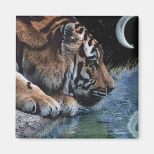 Fantasy Tiger & Måne Magnet