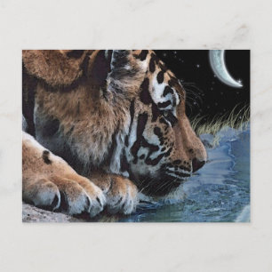 Fantasy Tiger & Måne vykort