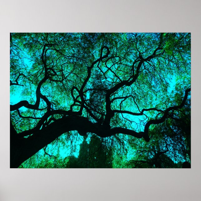 Fantasy Turcos ise Träd Silhouette Poster (Framsidan)