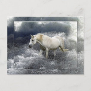 Fantasy White Horse & Ocean Surfa Gifts Vykort