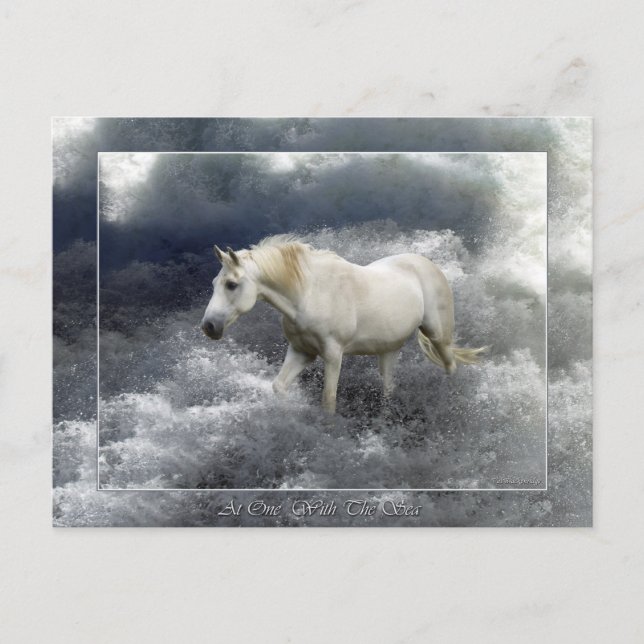 Fantasy White Horse & Ocean Surfa Gifts Vykort (Framsida)