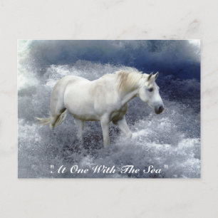 Fantasy White Horse & Ocean Surfa Gifts Vykort