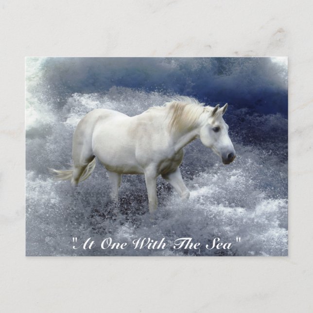 Fantasy White Horse & Ocean Surfa Gifts Vykort (Framsida)