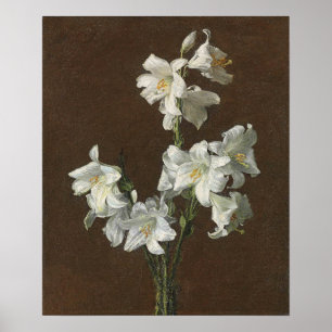 Fantin-Latour - Vita liljor Poster