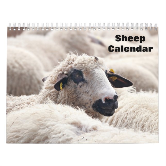 Får 2026-kalender kalender (Omslag)