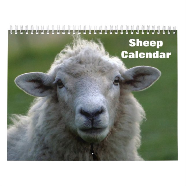 Får 2027 kalender (Omslag)