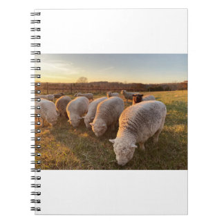 Får Anteckningsbok
