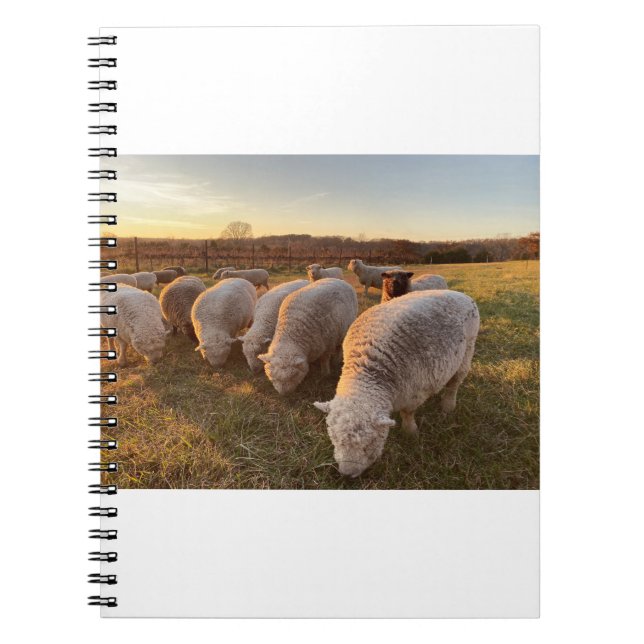 Får Anteckningsbok (Framsidan)