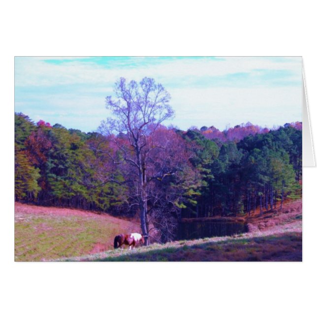Far Away Horse i Lila Fält Hälsningskort (Framsidan Horizontal)