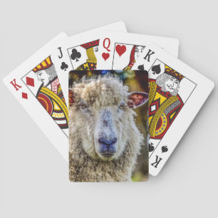 Får Casinokort