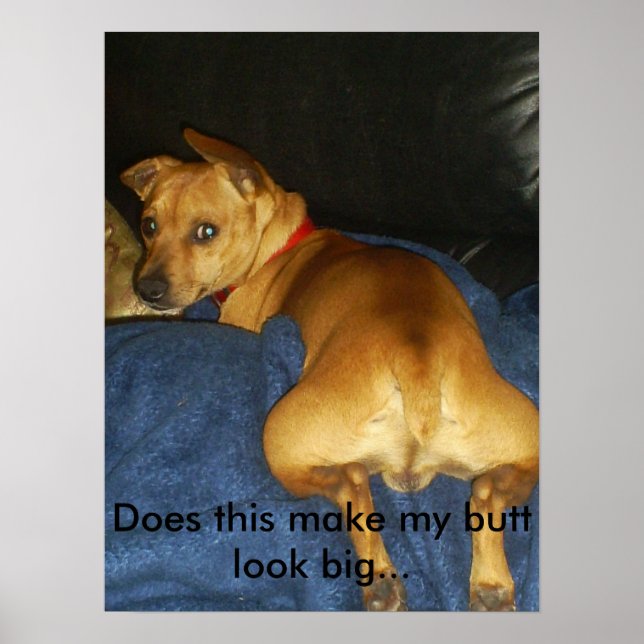 Får det mig att se stor ut.. poster (Framsidan)