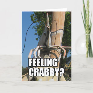 FÅR DU CRABBY? MINA KORT