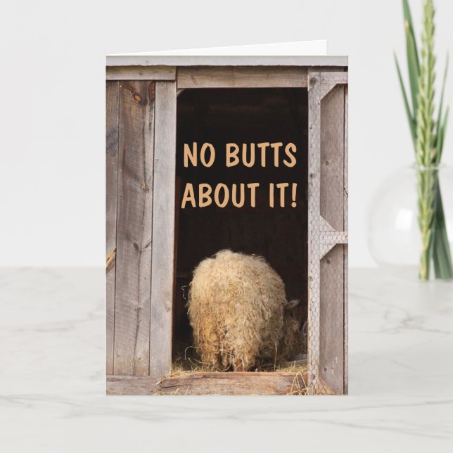 Får Fånig Joke Get well Kort (Framsida)