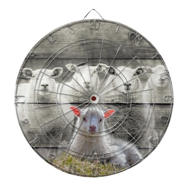 Får Flock Baby Lamb Darttavla (Framsidan)