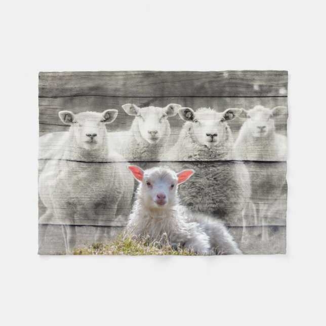 Får Flock Baby Lamb Fleecefilt (Framsidan (Horisontell))